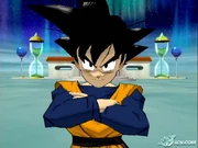 Budokai 2 112