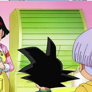 Videl Gallery Dragon Ball Wiki Fandom