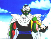 Piccolo90