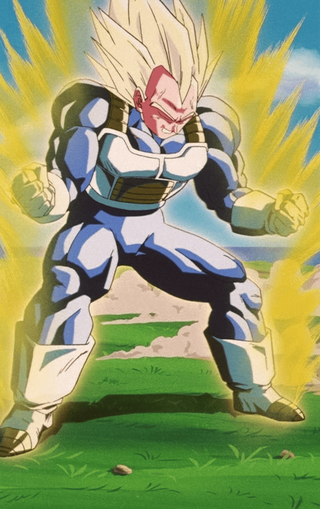 assj vegeta