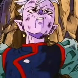 Shin Dragon Ball Wiki Fandom