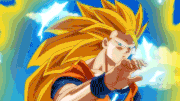 DragonBall Tournoi
