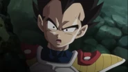 VEGETA 1