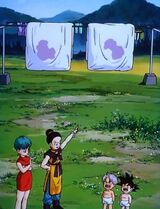 GOTEN Y TRUNKS KIDS