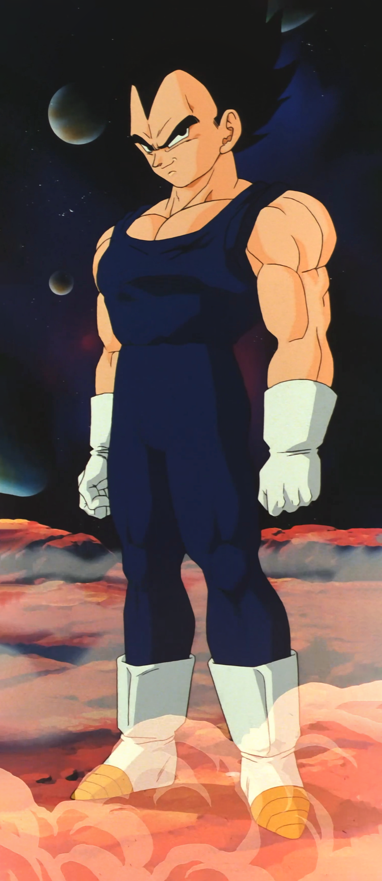 Vegeta Ripped Clothes