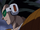 Raditz(Kai)