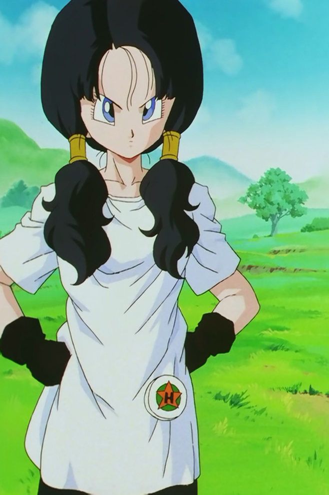 Videl Dragonball Wiki Fandom Powered By Wikia 