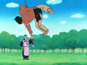BoraHelpless