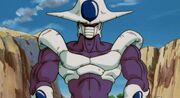 Cooler