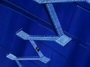 Dbz242(for dbzf.ten.lt) 20120404-16180685