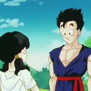 The Newest Super Saiyan Dragon Ball Wiki Fandom
