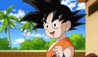 Son Goku Dragon Ball Wiki Fandom