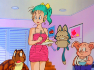 Bulma,Oolong,Umigame y Puar