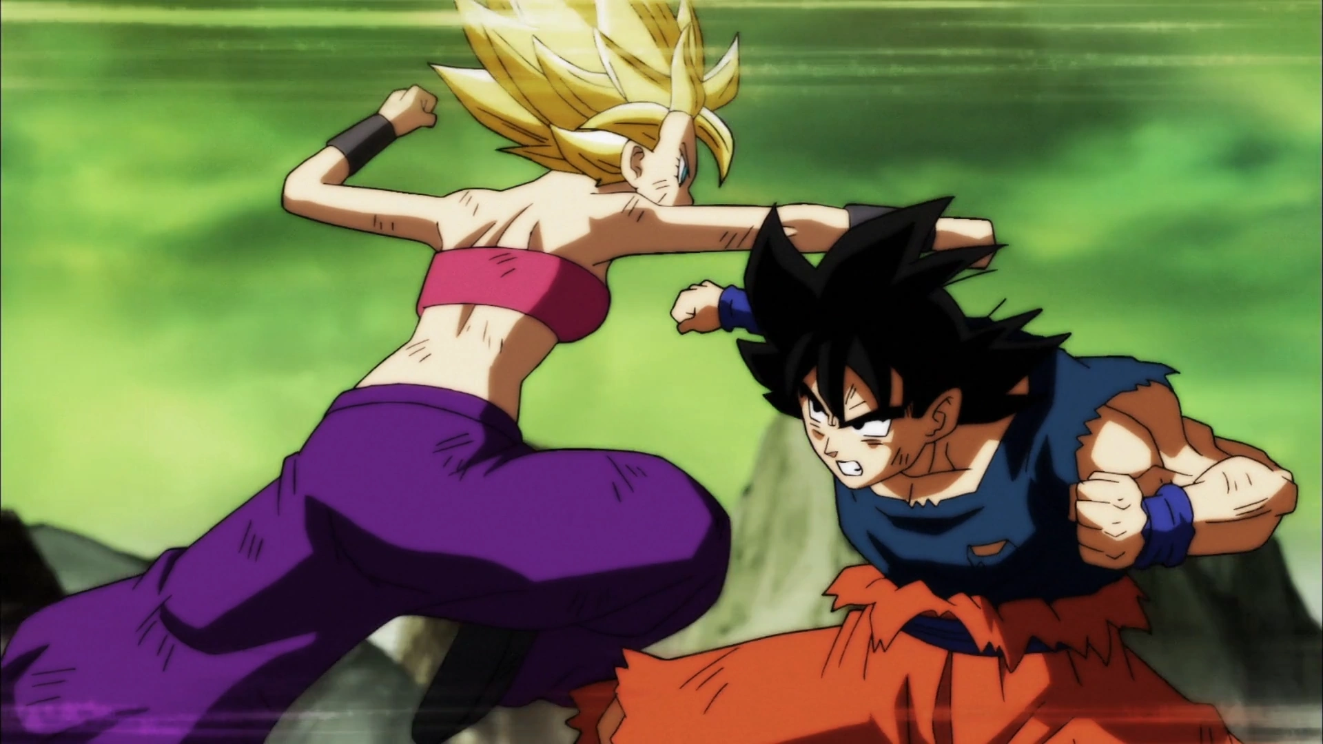 Imagen Goku vs. Caulifla SS2.png Dragon Ball Wiki FANDOM powered