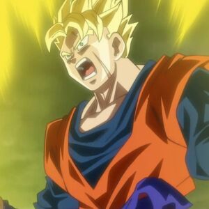 Dragon Ball Z Dokkan Battle Beserker Of Destruction