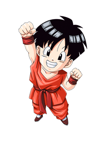 DBZ Fin