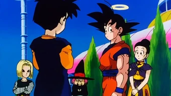 Videl Wiki Dragon Ball Fandom