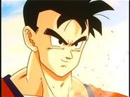 Gohan sonrie(2)