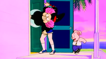 Uranai Baba Dragon Ball Wiki Fandom