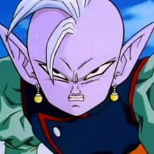 Shin Dragon Ball Wiki Fandom