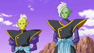 Zamas y Gowas