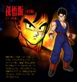 Gohan BT3