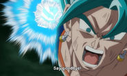 Vegetto Unknown Move