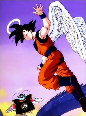 Fichier:Gokumort.jpg