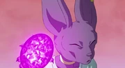 Beerus RoF
