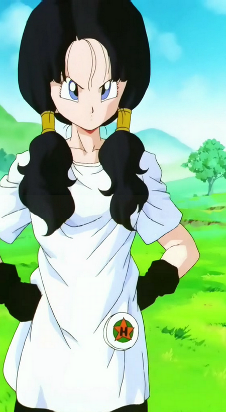 Imagen Videl 8png Dragon Ball Wiki Fandom Powered By Wikia 6062