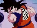 Dbz59-05