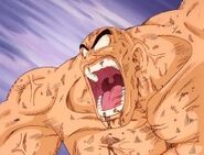 Nappa enfurecido