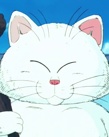 Karin Wiki Dragon Ball Fandom