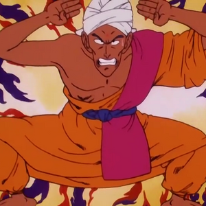 Nam Dragon Ball Wiki Fandom