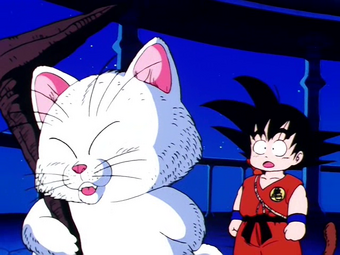 Karin Wiki Dragon Ball Fandom