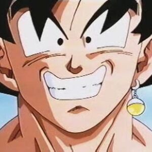 Ready To Fuse Dragon Ball Wiki Fandom