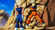 Goku vs vegeta 800