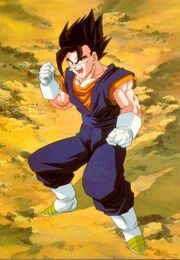 Vegetto photo