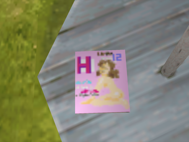 File:Budokai magazine.png