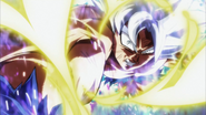 Goku blanco panchi