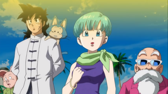 Bulma Dragon Ball Wiki Fandom