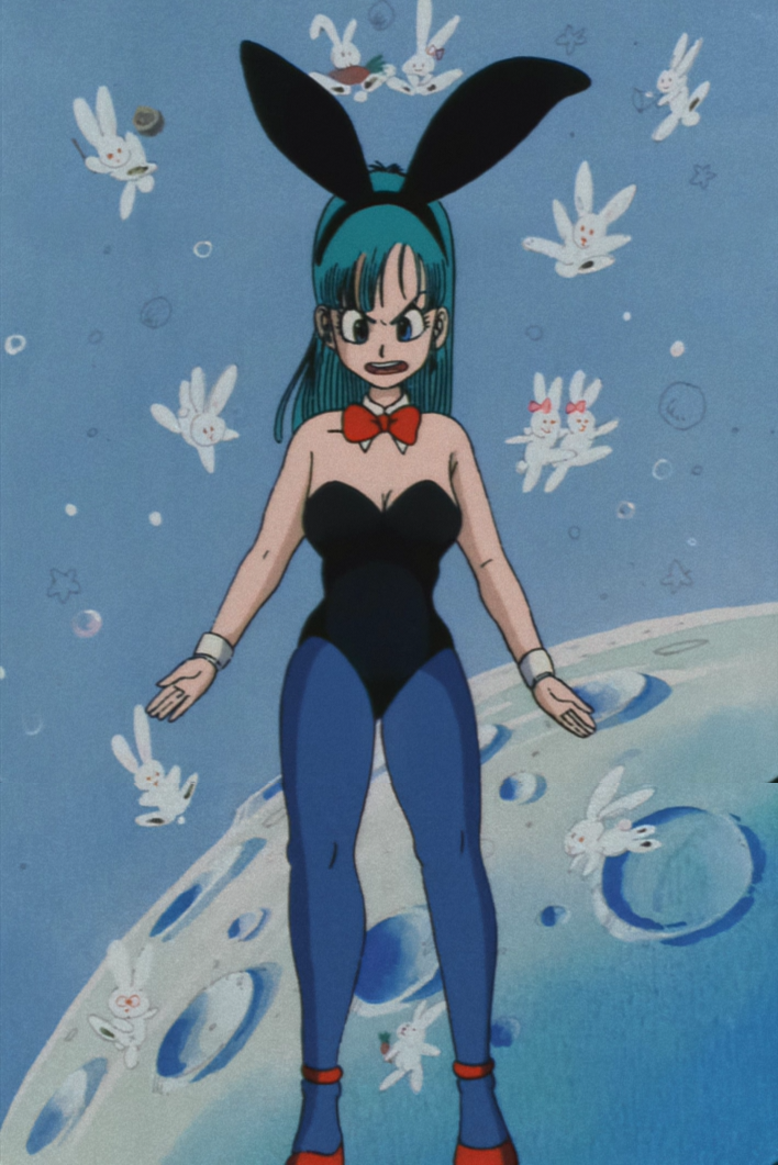 Bunny costume | Dragon Ball Wiki | FANDOM powered by Wikia