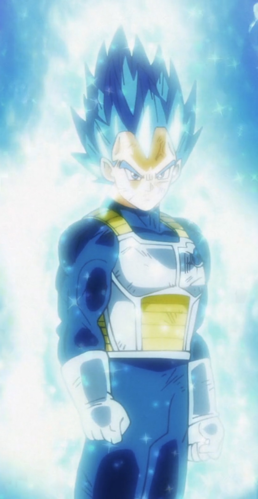 Super Saiyan God SS・Shinka Dragon Ball Wiki FANDOM