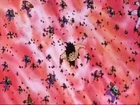 Bardock&FSoldiers.png (832 KB) Bardock&FSoldiers