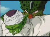 000000cell imperfecto