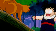 Son Gohan spaventato da uno scoiattolo indemoniato