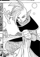 Zamas DBS Manga