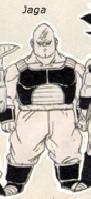Jaga