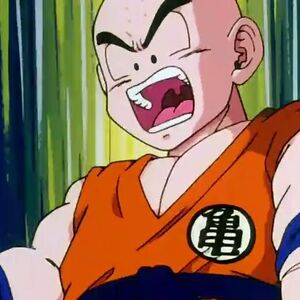 Calling The Eternal Dragon Dragon Ball Wiki Fandom