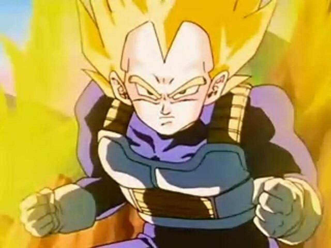 dbh vegeta
